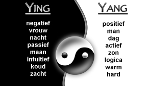 Ying en Yang